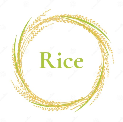 Rice